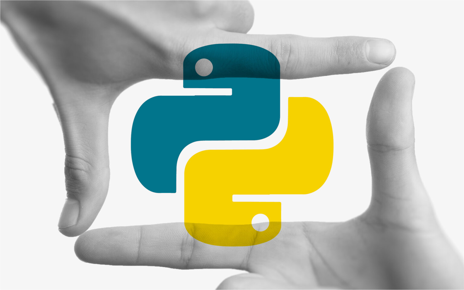 Everything You Need to Know About Python: A Beginners Guide to The Best Programming Language to Learn First